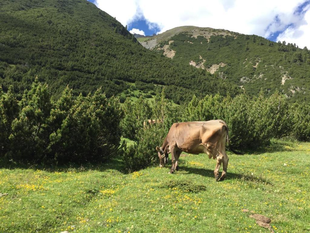 Appartamento Paola Livigno Luaran gambar